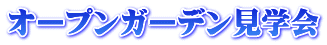 �I�[�v���K�[�f�����w��