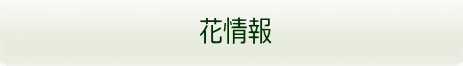 　　花旅　（見学ツアー）の記録