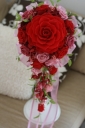 �L���X�P�[�h�u�[�P