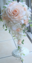 �L���X�P�[�h�u�[�P