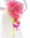�v���U�[�u�h�t�����[�̃E�G�f�B���O�u�[�P