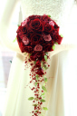 �L���X�P�[�h�u�[�P