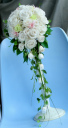 �L���X�P�[�h�u�[�P