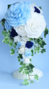 �u���[�n�̃����A�L���X�P�[�h�u�[�P