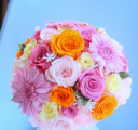 �s���N��I�����W�̂��킢���v���U�[�u�h�t�����[�̃u�[�P
