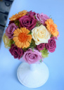 �l�C�̃v���U�[�u�h�t�����[�u�[�P