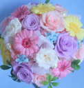 �u���[�X�^�[�ƃK�[�x���̐l�C�̃v���U�[�u�h�t�����[�u�[�P