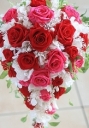 �L���X�P�[�h�u�[�P
