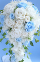 �E�G�f�B���O�u�[�P