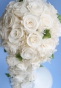 �E�G�f�B���O�u�[�P