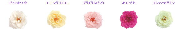 �E�G�f�B���O�u�[�P