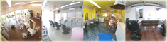 �����e�T�[�r�X�S��