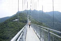 吊橋２