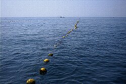 海