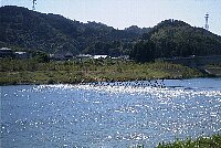 やな