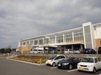 �΍�̓m�E���~�� (1).JPG