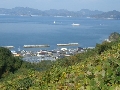 CIMG5833.JPG