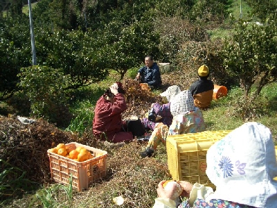CIMG6214.JPG