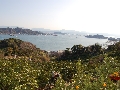 DSC_0098.JPG