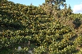 DSC_3206.JPG