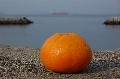DSC_3235.JPG