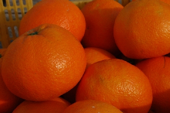 DSC_3229.JPG