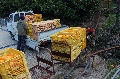 DSC_3204.JPG