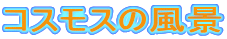 RXX̕i