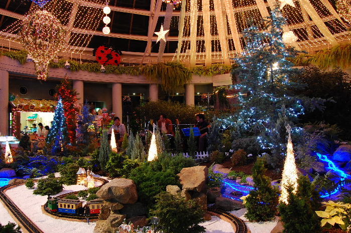 080105サンババ (1)