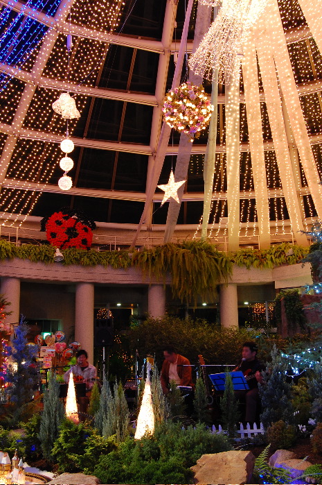 080105サンババ (2)