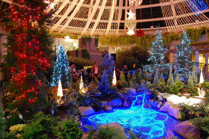 080105サンババ