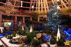 080105サンババ (1)