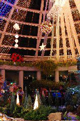 080105サンババ (2)