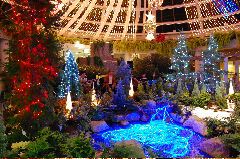 080105サンババ