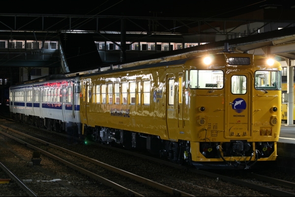 snp10