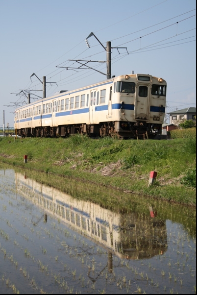 snp9