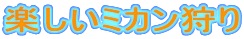 楽しいミカン狩り
