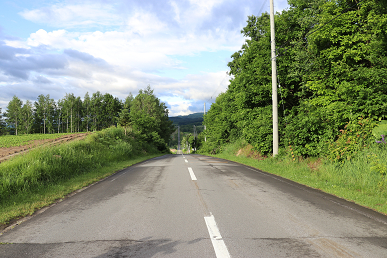 ジェットコースターの道