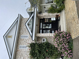 マリーさんの木