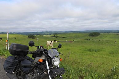 大規模草地放牧場