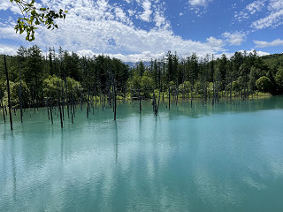 青い池